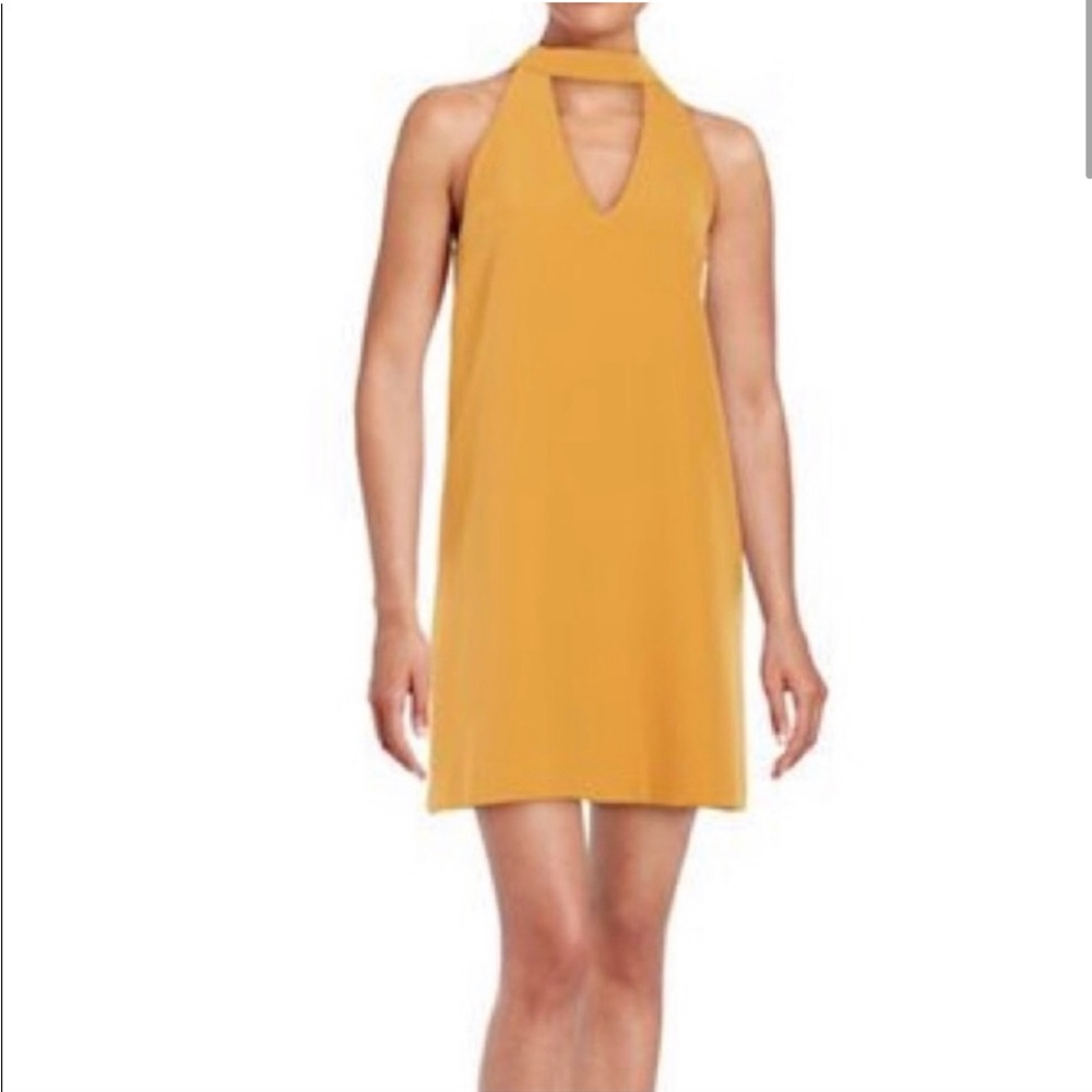 Lucy paris halter dress